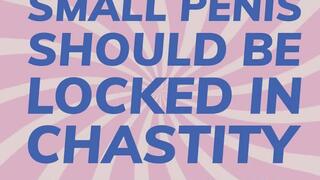 Why All Penis Should Be Locked In Chastity Encouraging SPH Light Humiliation Audio