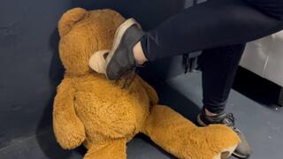 Part 1 – Teddy Meets My Sweaty Sneakers After Workout