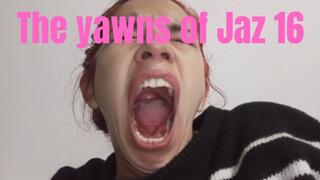 The yawns of Jaz 16