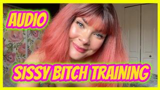 Sissy Bitch Training Audio