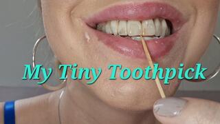 Vore: My Tiny Toothpick