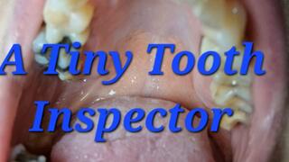 Vore: A Tiny Tooth Inspector