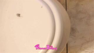 Revolting Toilet Ripoff