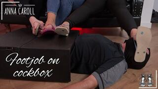 Cockbox and spanking with havaianas flip-flops (720 p)