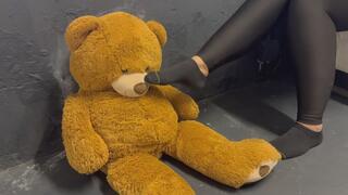 Part 2 - Teddy needs to sniff my black socks