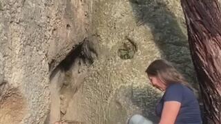 FACESITTING Trampling Pecho