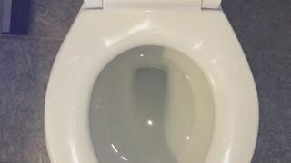 FLUSHING MY PEE DOWN MY TOILET