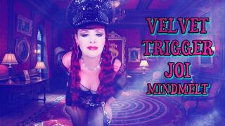 Velvet Trigger - JOI MindMelt