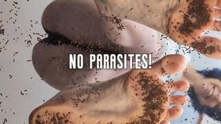 No parasites!
