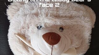 Sitting on the teddy bear's face 2