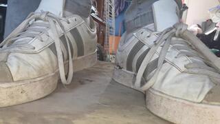 trample cock dance in sneaker