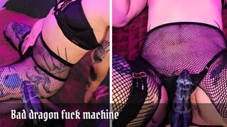 Bad dragon fuck machine - bred by Nova