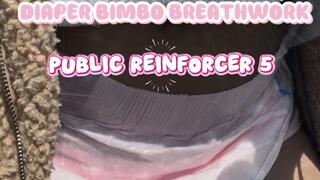 PUBLIC TRAINING REINFORCER 5