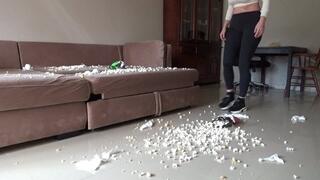 the ideal assistant is a vacuum cleaner