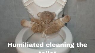 Humiliated cleaning the toilet