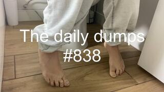 The daily dumps #838 mp4