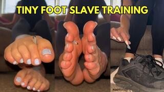Tiny Foot Slave Training by Giantess Ivy