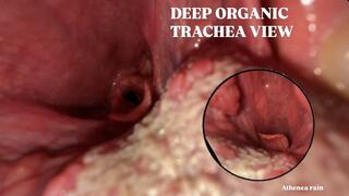 Extreme Deep Throat POV: Throat Close-up with Epiglottis and Uvula View