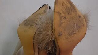 Balbina divine BBW Pantyhose show in the bed