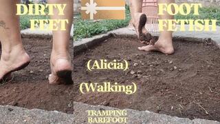 She walks and tramples the ground barefoot and her feet are dirty (2)