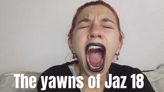 The yawns of Jaz 18