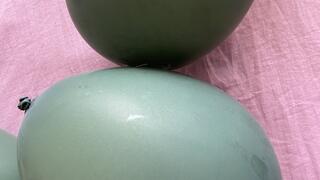 Estourando balões na CAMA com as unhas estilo ASMR