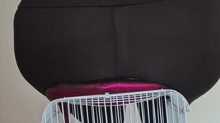 La cage ne te sauvera pas ...