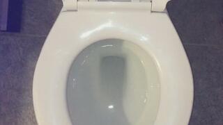 FLUSHING MY PEE DOWN MY TOILET UR WISH IS GRANTED