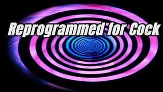 Reprogrammed for Cock