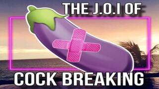 The JOI Of CockBreaking