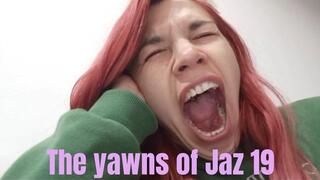 The yawns of Jaz 19