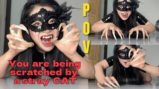 POV: You Are Being Scratched By A Stray Cat | LINH'S LONG NAIL | CRAZY ABOUT LONG AND NATURAL NAILS