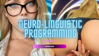 NLP - FINSLAVE