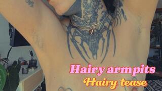 Hairy Armpit Tease & Natural Tits – Close-Up Obsession