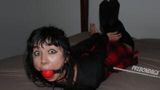 The Taking of Fae Donata - Part 1