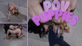 POV puppies - mp4 720p