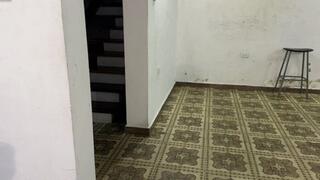 The cruel leather pet trainers by BootsQueen and Karina Blody