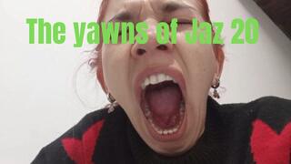 The yawns of Jaz 20