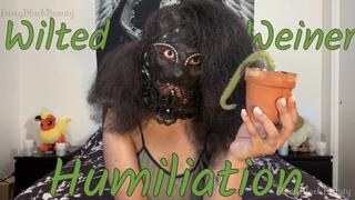 Wilted Weiner Humiliation: Ebony Femdom Erectile Dysfunction Humiliation 4K