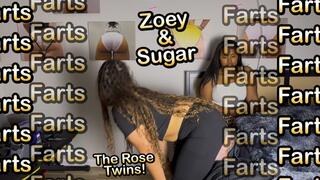 Zoey & Sugar Rose give their Fart Slave a Run for His Money! - Sugar Rose & Zoey Rose