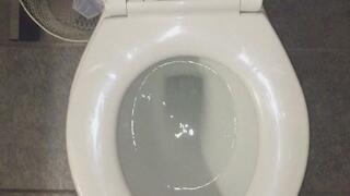 EXCUSE ME LET ME SHOP AN ON COMING WALKERS TSHIRT IN THE MALL WITH A LOGO NOW OR SHES DED FOREVER U BITCH PULL THE FUCK OVER RIGHT NOW