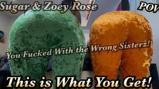 I Bet You Regret Your Choices Now! - POV - Sugar Rose - Zoey Rose