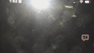 1 800 GET COKE SCAM SHOPPING CART BLOCK NUMBER INSTALLED TAKE IT OFF