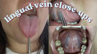 lingual vein close-ups