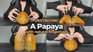 Destroying A Papaya With Natural Fingernails | LINH'S LONG NAIL | CRAZY ABOUT LONG AND NATURAL NAILS