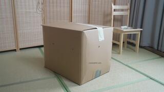 lz40-The girl struggled as she was put into the box.