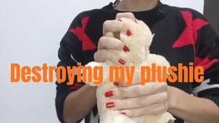 Destroying my plushie