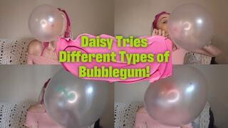 Daisy Tries Different Types of Bubblegum!