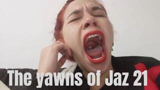 The yawns of Jaz 21