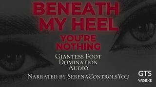 You’re Nothing - Giantess Sole Threat JOI - Cruel Humiliation - Tiny POV by GTS Works